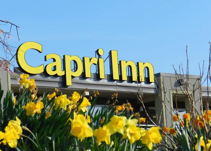 Capri Inn Saint Catharines