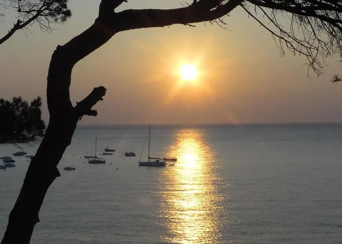 Hotel La Torre Calella De Palafrugell