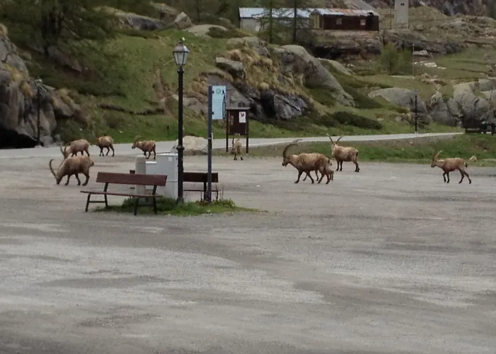 Albergo Gran Paradiso