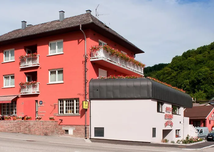 Logis Hostellerie Motel Au Bois Le Sire Orbey