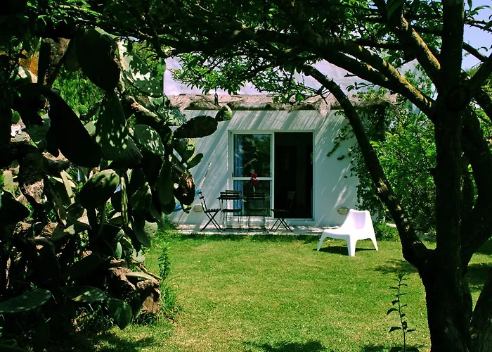 Bungalows Puravida