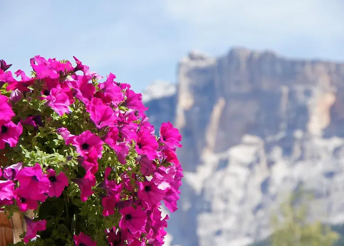 Hotel Garni La Ciasota La Villa 
