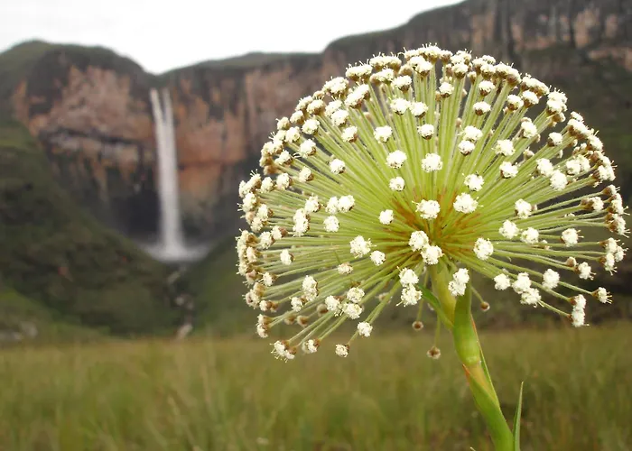 Pousada Tabuleiro Eco