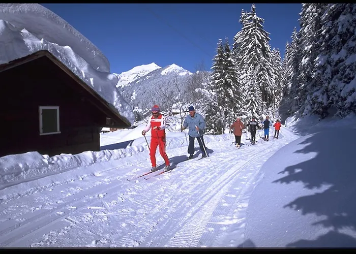 Hotels in Silbertal