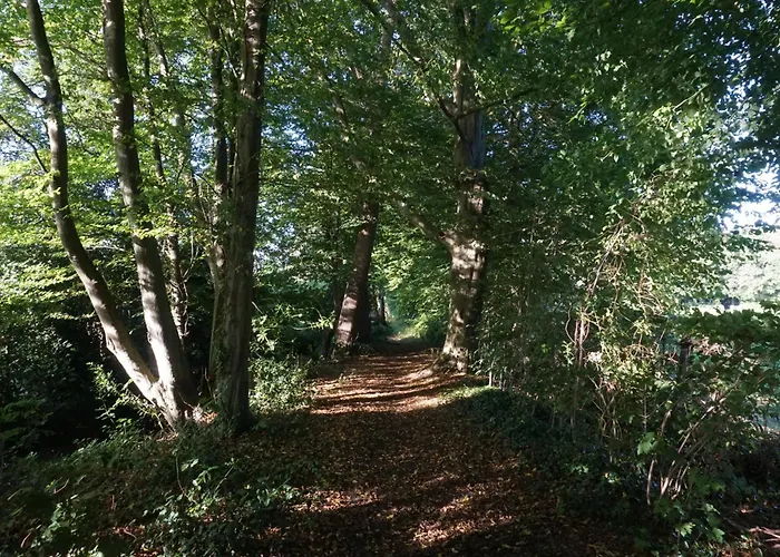 B&B aan het bos Ter Apel