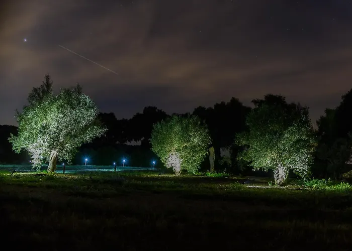 Nomaddicts