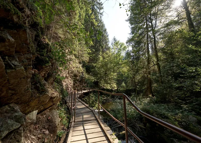 Hotel Sonnenberg Garni Hinterzarten