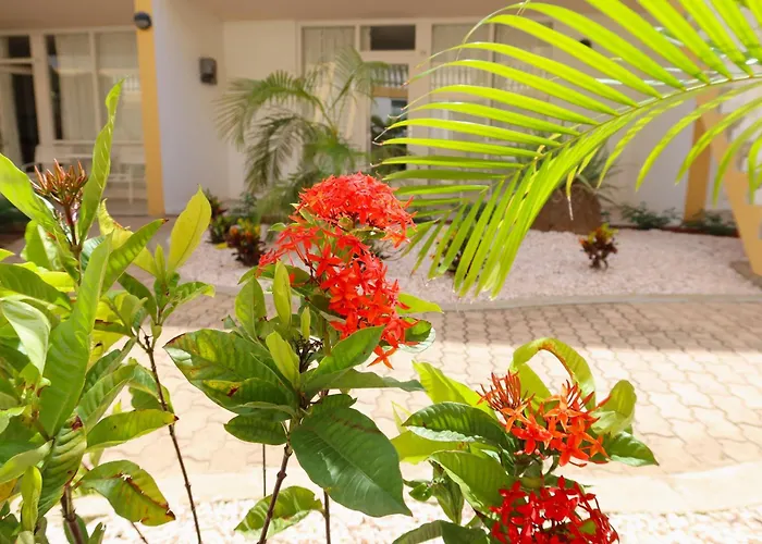 Montana Eco Resort Aruba