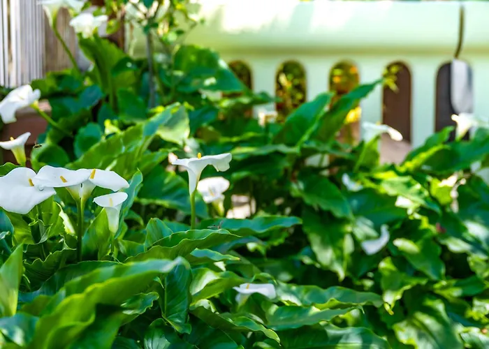E-M Apartments With Private Pool Vinkuran
