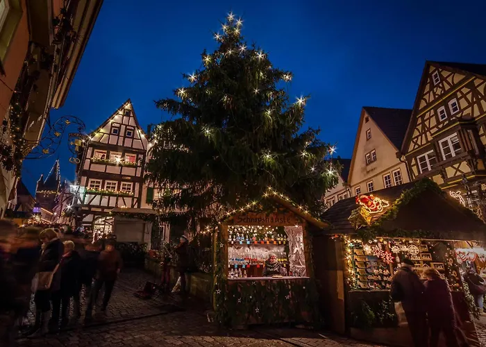 Gästehaus Fernblick Bad Wimpfen