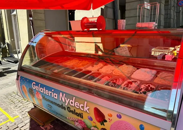 Hotel Nydeck Berna