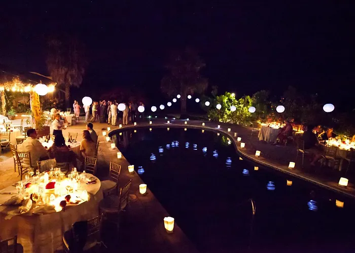 Serendipity Todos Santos