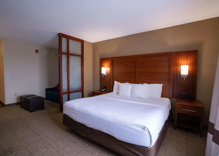 Comfort Suites Flowood - Jackson Airport