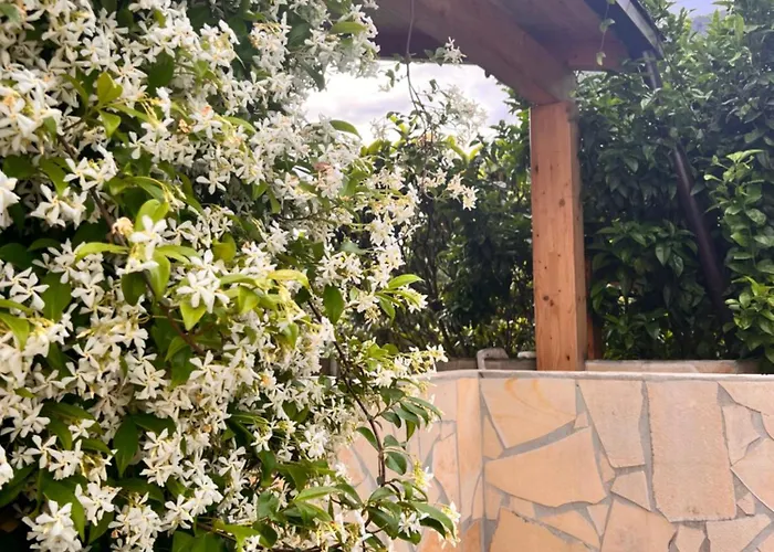 Bed and Breakfast Le Tre Rose Maratea