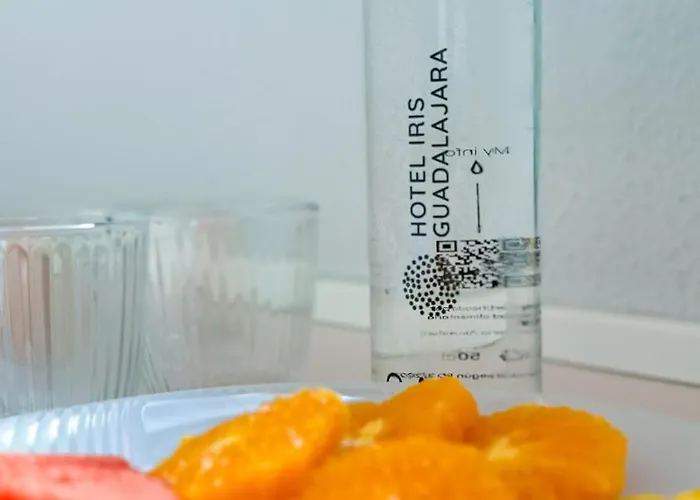 Hotel Iris Guadalajara