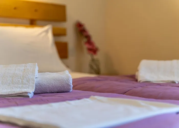 Hotel Hercules Olimpia