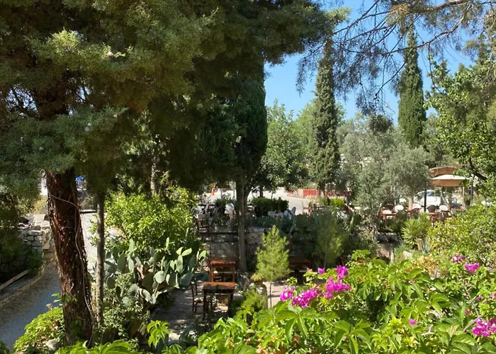 Medusa House Butik Hotel Didim
