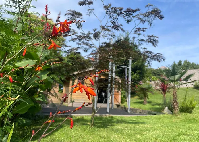 La Wodapalousa, Surf & Crossfit Guesthouse, 800M From Beach