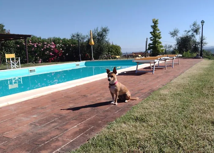 Le Pergoline B&B Casciana Terme
