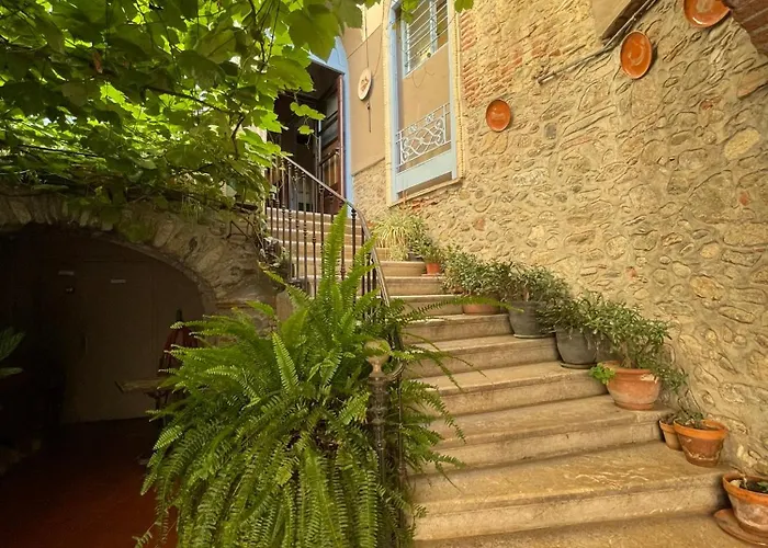 Hotel Vidal Céret