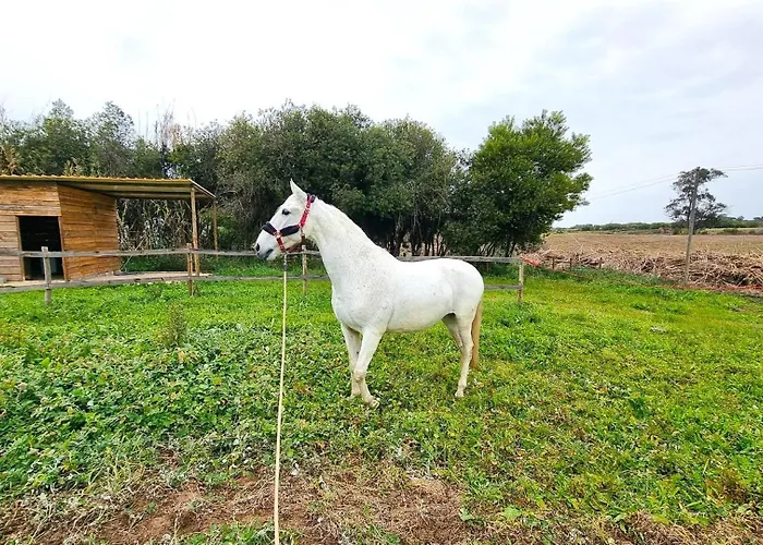 Herdade Moita Mar - Country & Sea Vila Nova de Milfontes