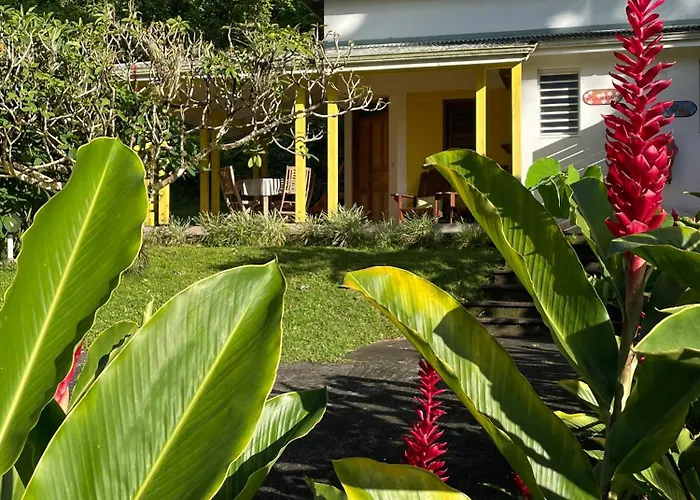 Les Cycas