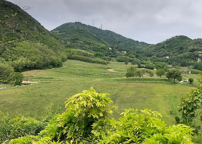 Affittacamere Due Mori Monselice