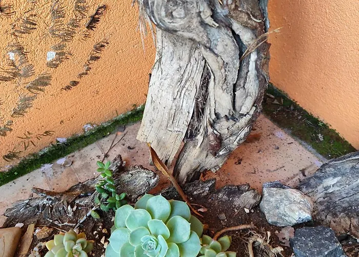 Vila Ecológica Cambará