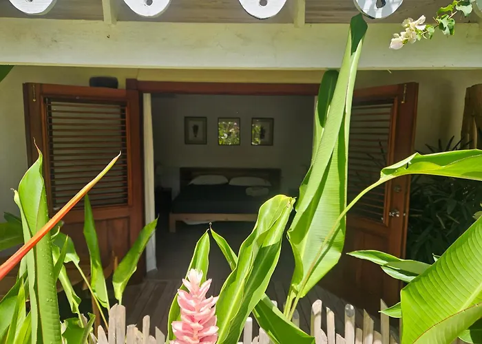 Hôtels à Las Terrenas