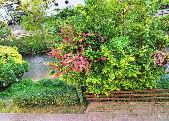 Alte Stadtmauer - Apartment Sinsheim