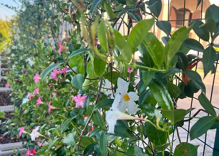 TENUTA SERENA - Maison de Charme Molfetta