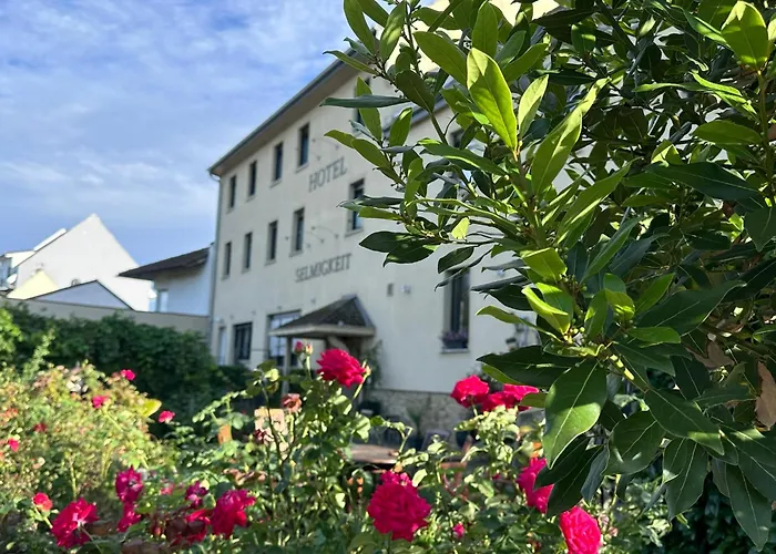 Hotels in Bingen am Rhein