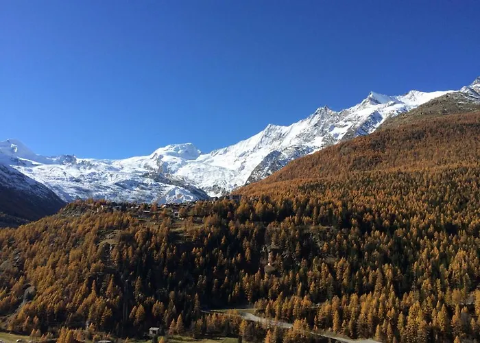 Hotel Adler Saas-Grund