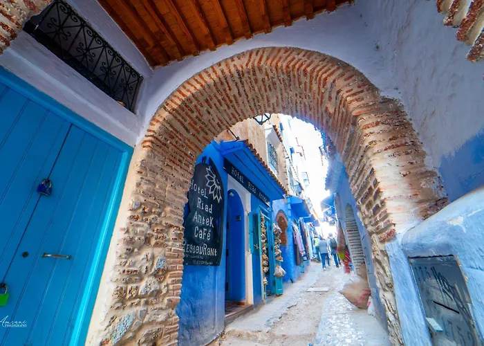 Riad Antek