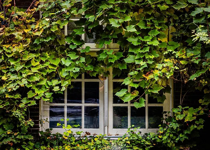 Kasteel Kerckebosch Hotel Zeist