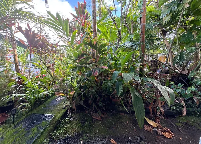 Hawaiian Ohana Home Hilo