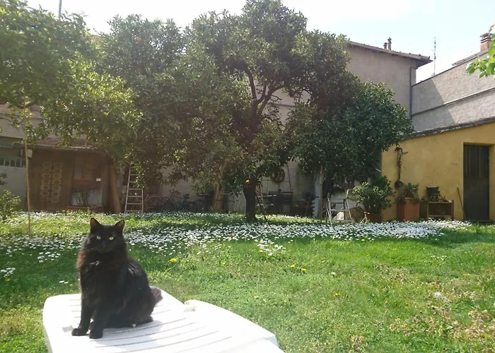 Oddi21 B&B