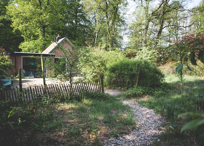 Knusse retreat midden op de Veluwe Appartement Hoenderloo