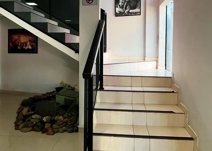 Hotel Rof Telêmaco Borba