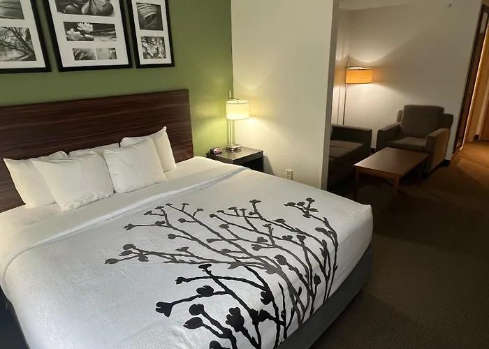 Sleep Inn & Suites Conference Center Eau Claire North