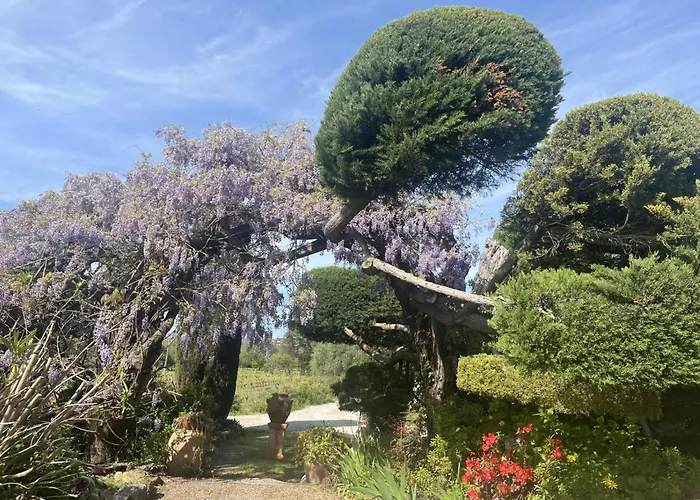 Hôtels à Grimaud