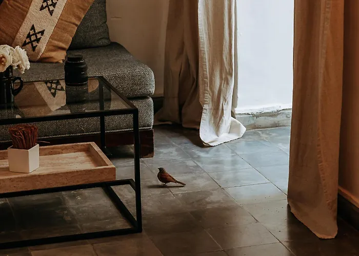 Riad Villa Wenge & Spa Marrakesh