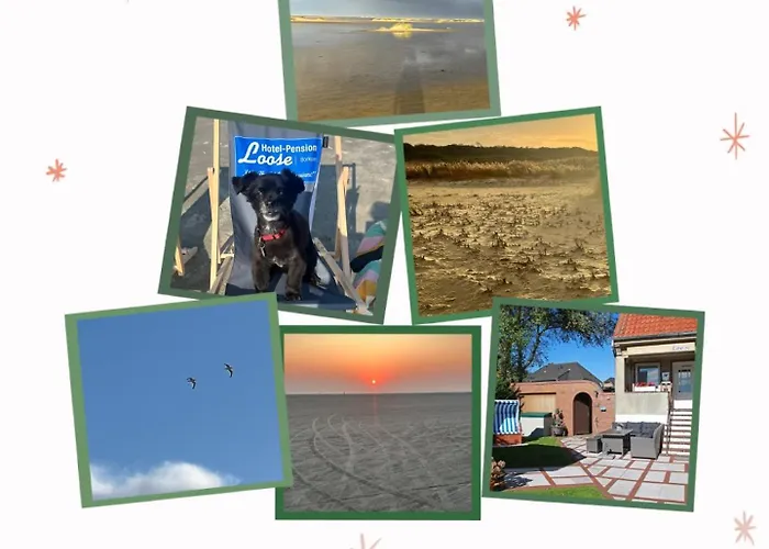 Hotel Pension Loose Borkum