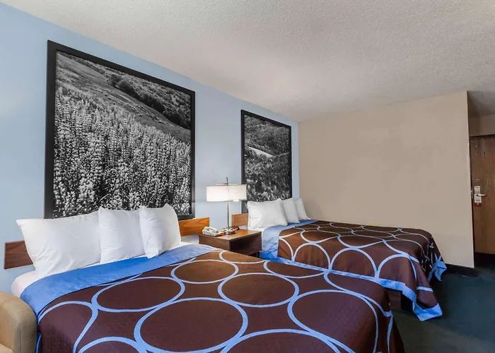 Super 8 By Wyndham East Stroudsburg - Poconos Hotel