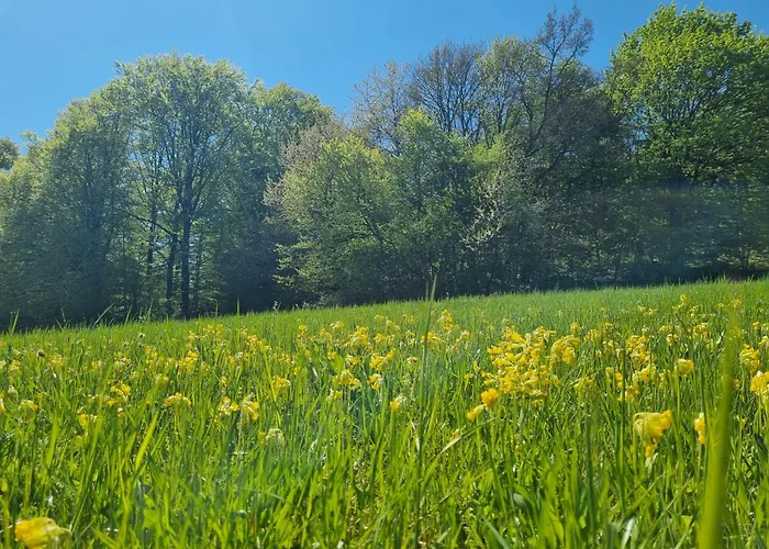 Landhaus Talblick- Frühstückspension Brotterode