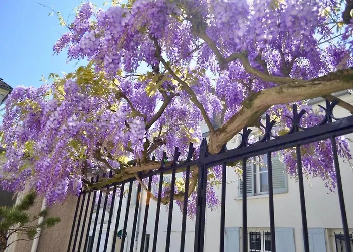 Bed and Breakfast Wisteria à Fontainebleau
