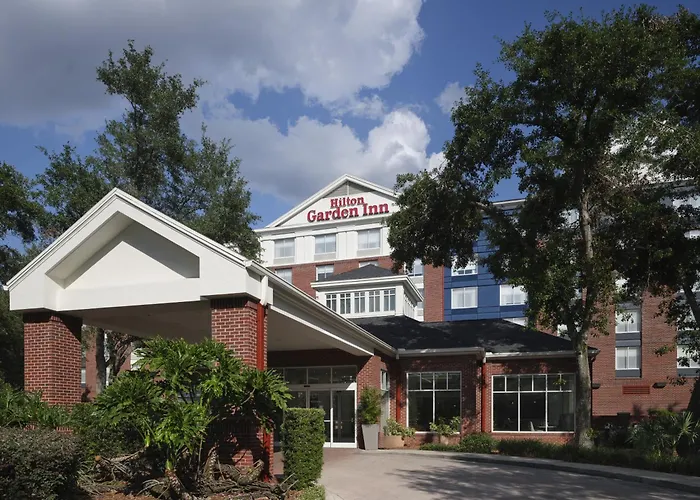 Hilton Garden Inn Tampa East Brandon Mango