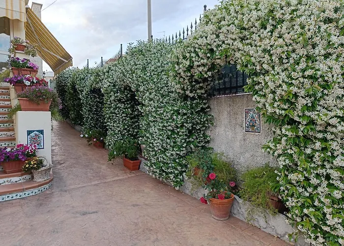 Bed&Breakfast Angolo Fiorito Civitavecchia