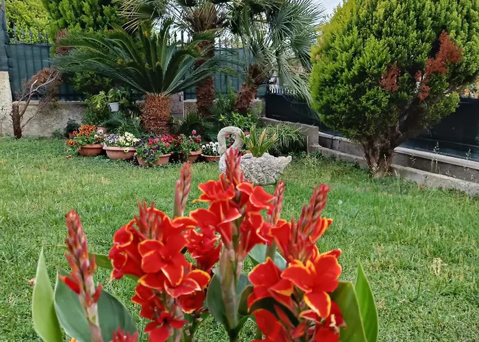 Bed&Breakfast Angolo Fiorito Civitavecchia
