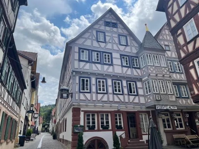 Hotel Schwanen Mosbach 